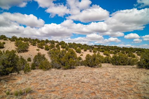 Tiny photo for TBD Hanuman, Cerrillos, NM 87010 (MLS # 202400910)