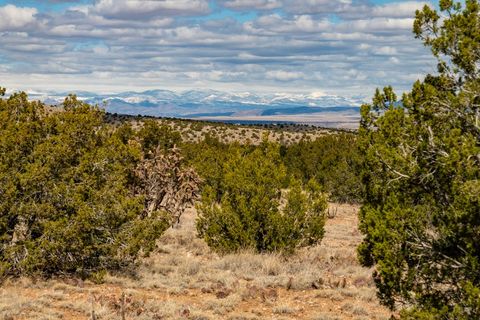 Tiny photo for TBD Hanuman, Cerrillos, NM 87010 (MLS # 202400910)
