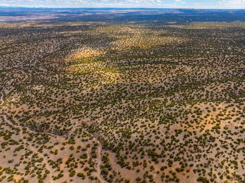 Tiny photo for TBD Hanuman, Cerrillos, NM 87010 (MLS # 202400910)