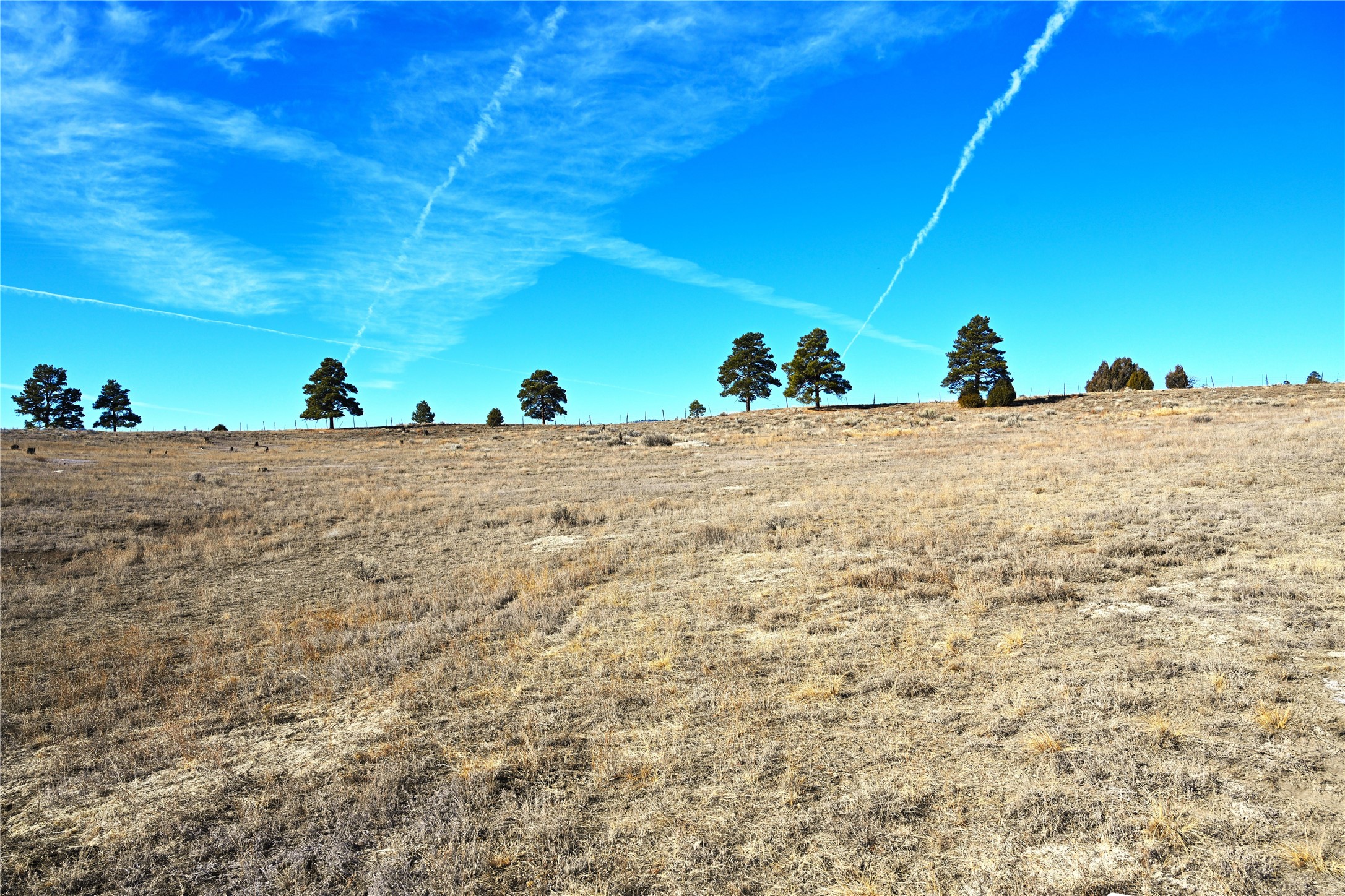 TBD Chama West S/d, Chama, New Mexico image 1