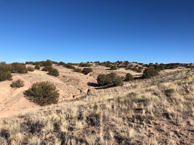 Lots 373839 Block 45, Medanales, New Mexico image 7