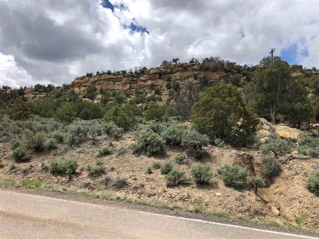 TBD Hwy 539/64, Navajo Dam, New Mexico image 6