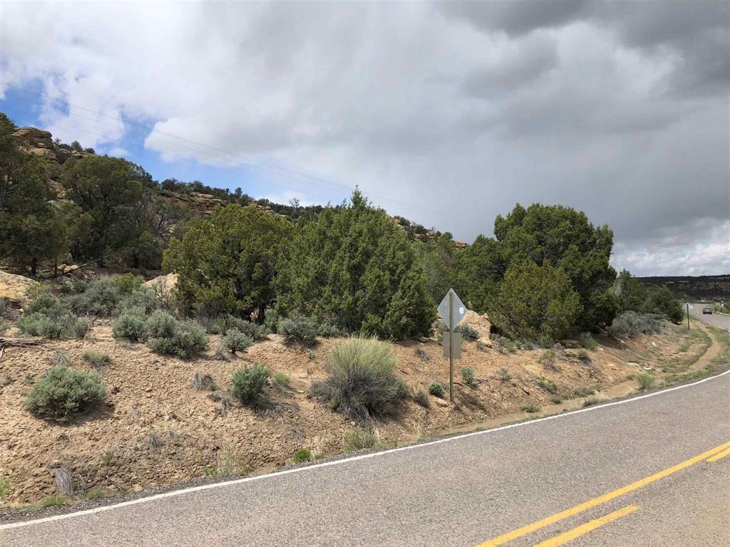 TBD Hwy 539/64, Navajo Dam, New Mexico image 7