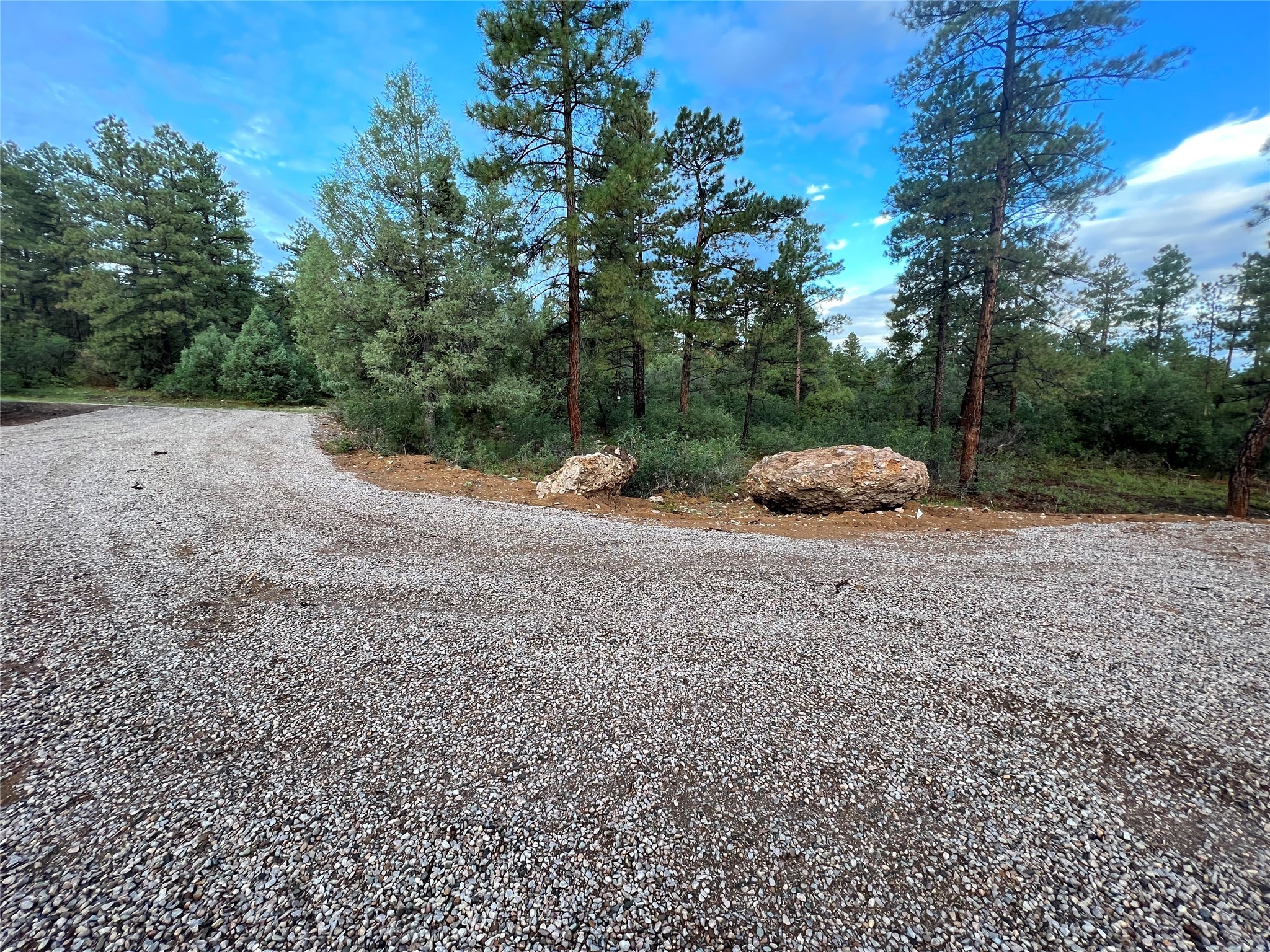 TBD Hwy 539/64, Navajo Dam, New Mexico image 3