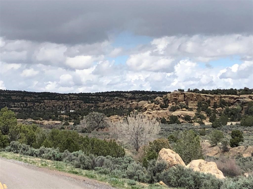 TBD Hwy 539/64, Navajo Dam, New Mexico image 8