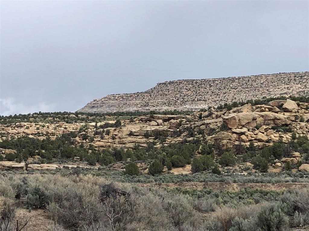 TBD Hwy 539/64, Navajo Dam, New Mexico image 16