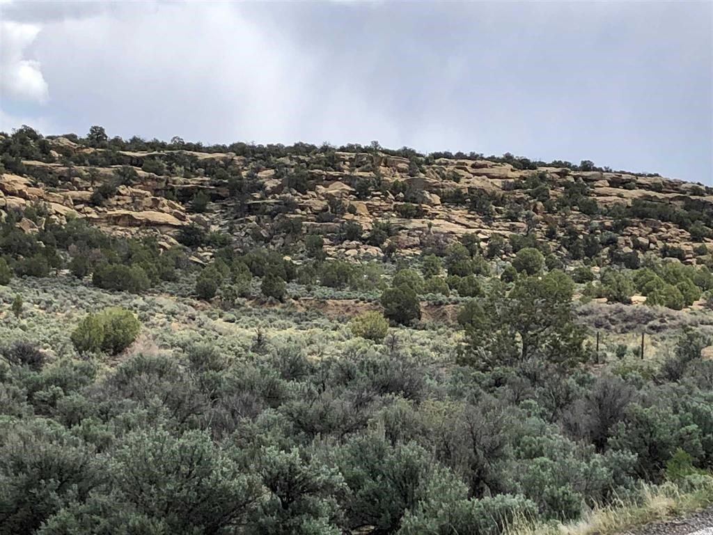 TBD Hwy 539/64, Navajo Dam, New Mexico image 5