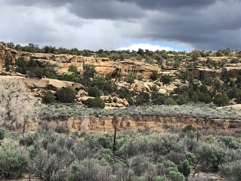 TBD Hwy 539/64, Navajo Dam, New Mexico image 1