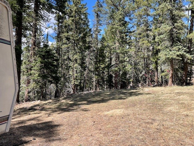 Lot 3 Block 3 Unit 1 Pecos Canyon Estates, Pecos, New Mexico image 7