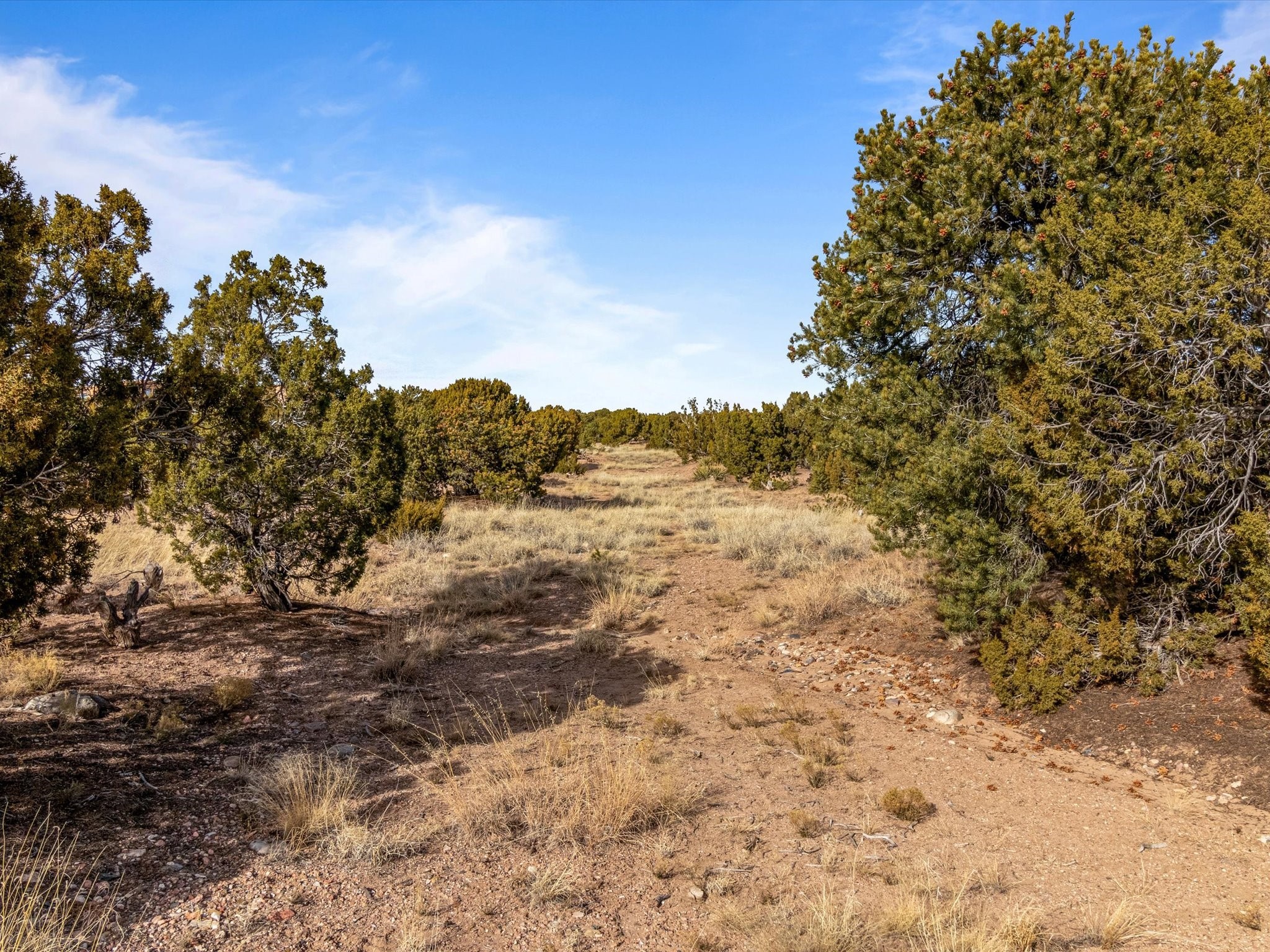 21 Arriba Circle, Santa Fe, New Mexico image 10