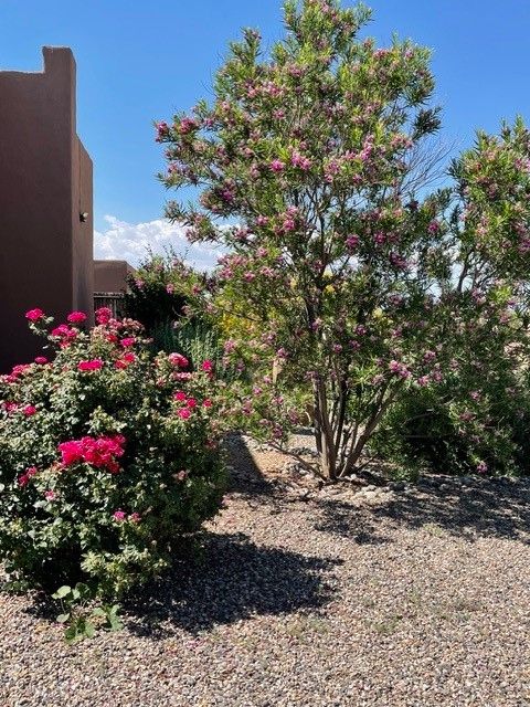 Tiny photo for 7 Caballo Viejo, Santa Fe, NM 87508 (MLS # 202601706)