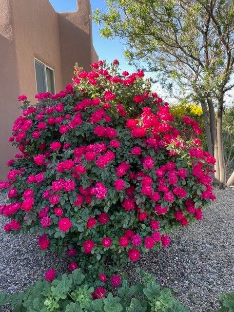 Tiny photo for 7 Caballo Viejo, Santa Fe, NM 87508 (MLS # 202601706)