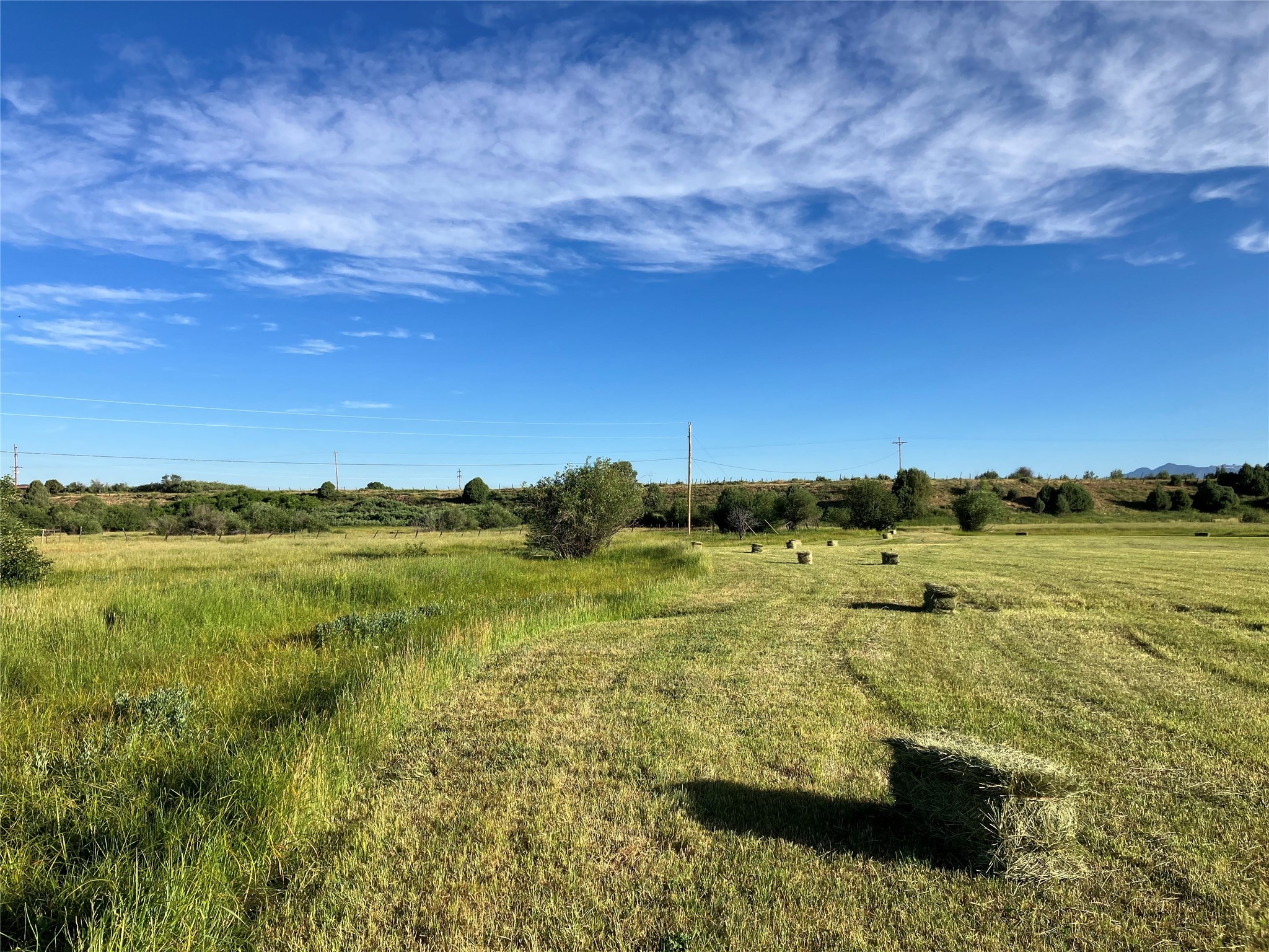 17091 B Hwy 84/64, Los Ojos, New Mexico image 9
