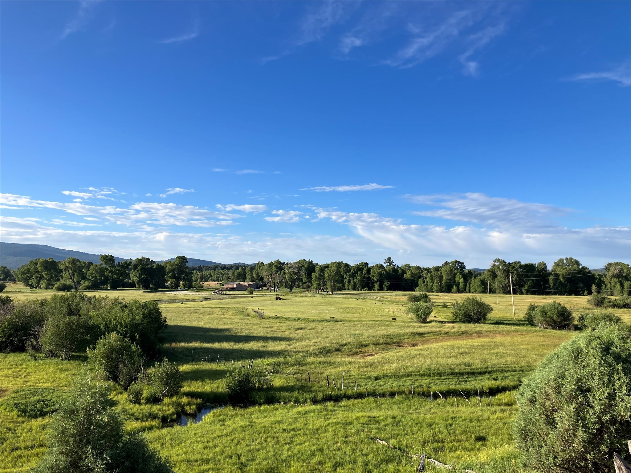 17091 B Hwy 84/64, Los Ojos, New Mexico image 3