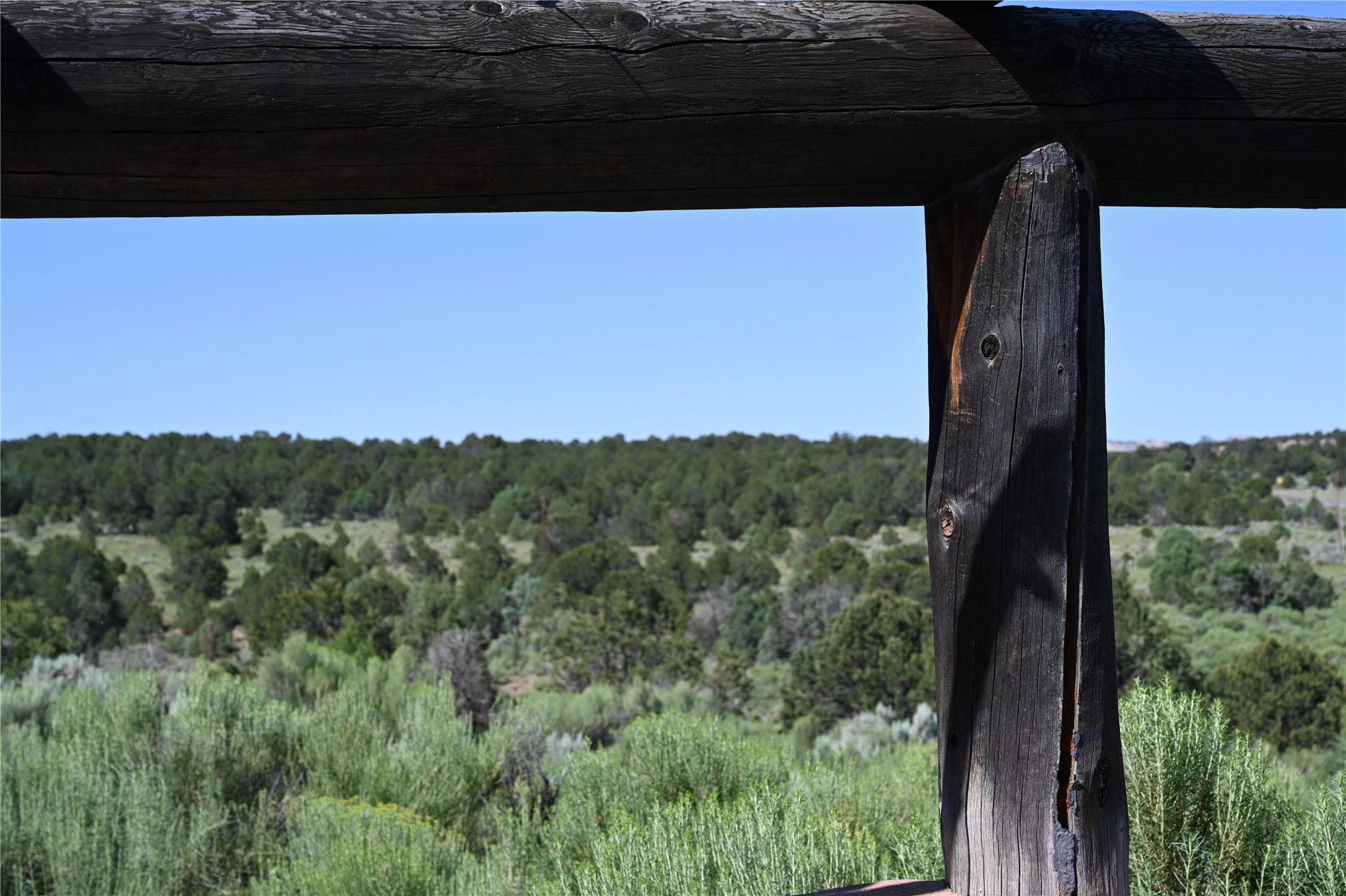 16 Groffman, Regina, New Mexico image 7