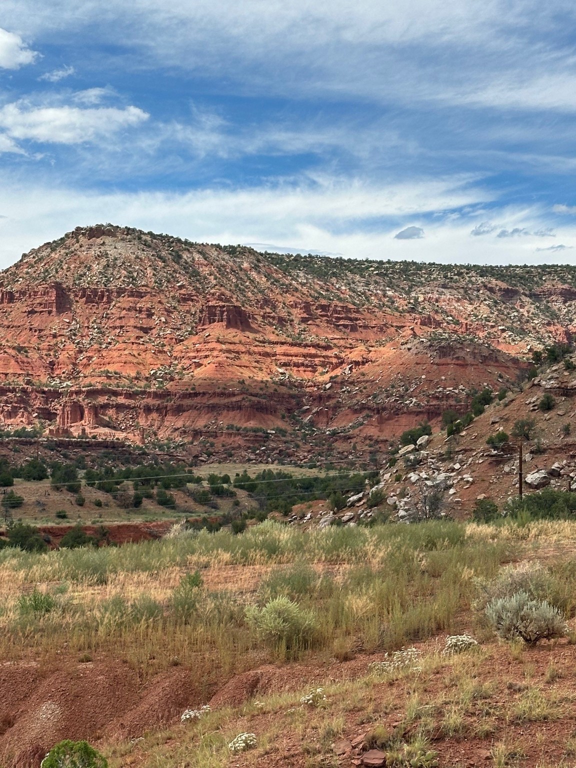 3636 Nm 96, Coyote, New Mexico image 27