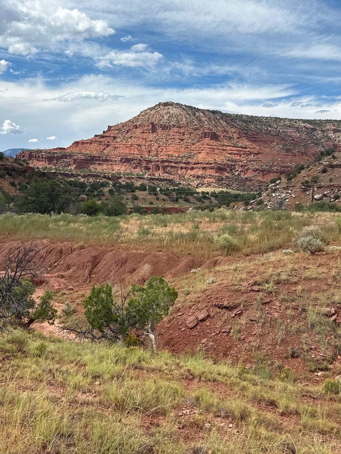 3636 Nm 96, Coyote, New Mexico image 20