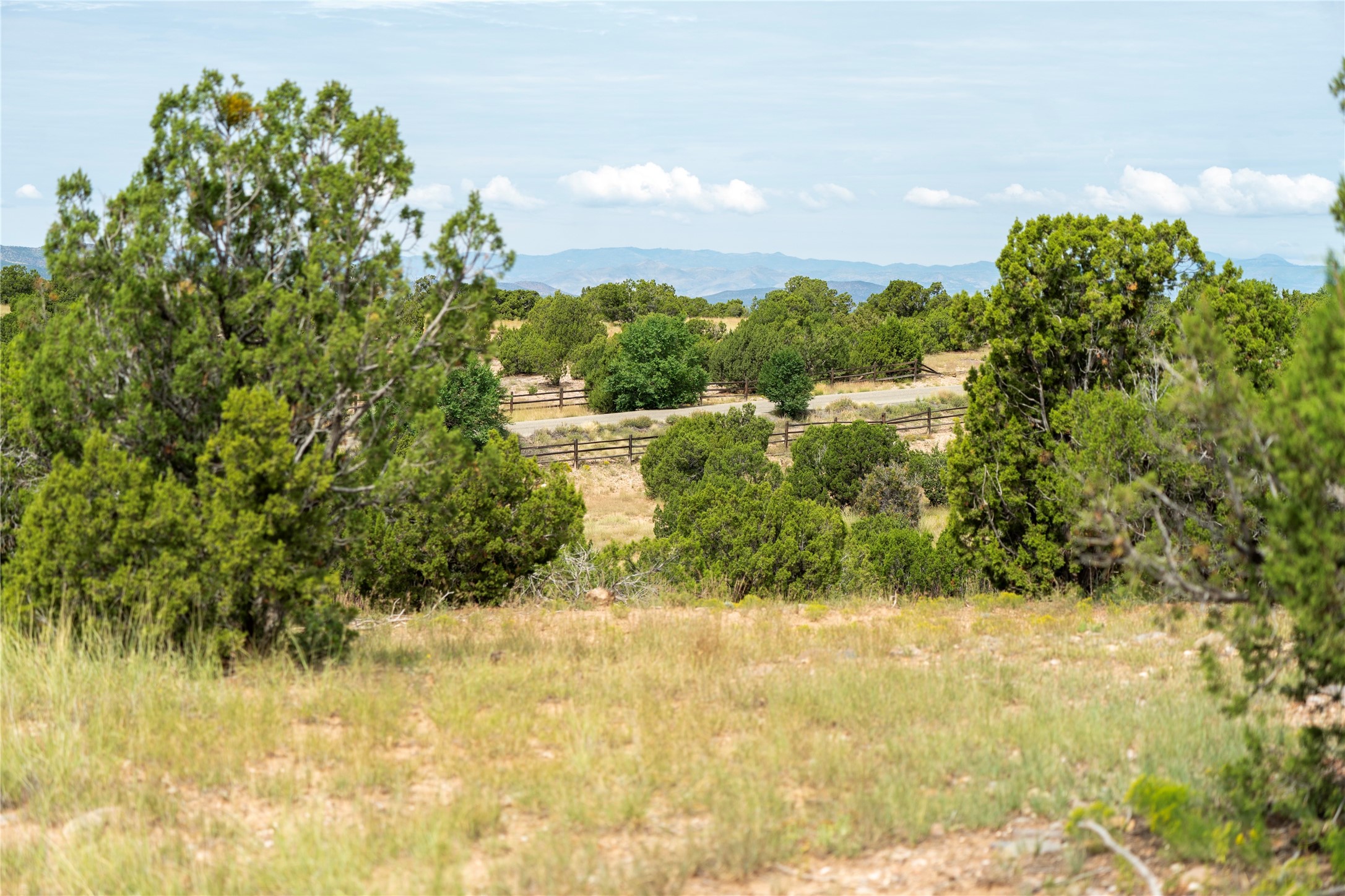 9 E Camino Del Cielo, Santa Fe, New Mexico image 4