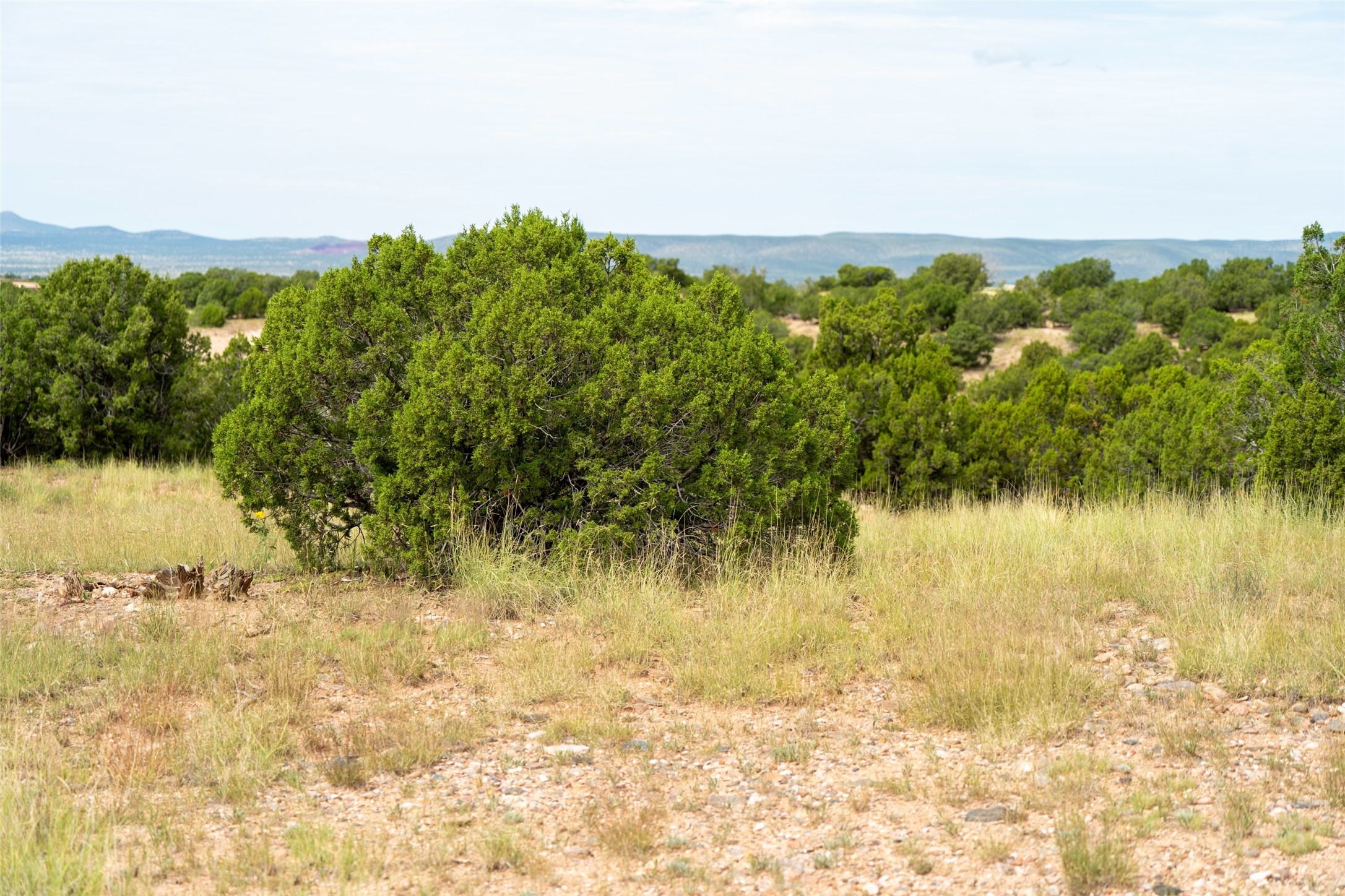 9 E Camino Del Cielo, Santa Fe, New Mexico image 5