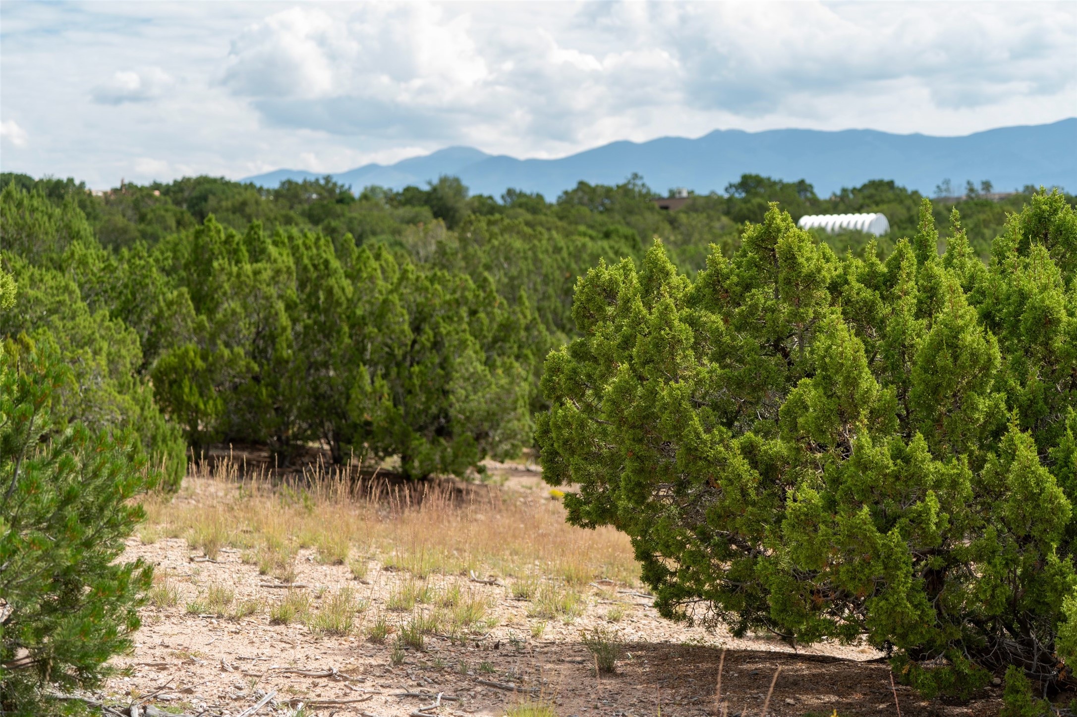 9 E Camino Del Cielo, Santa Fe, New Mexico image 2