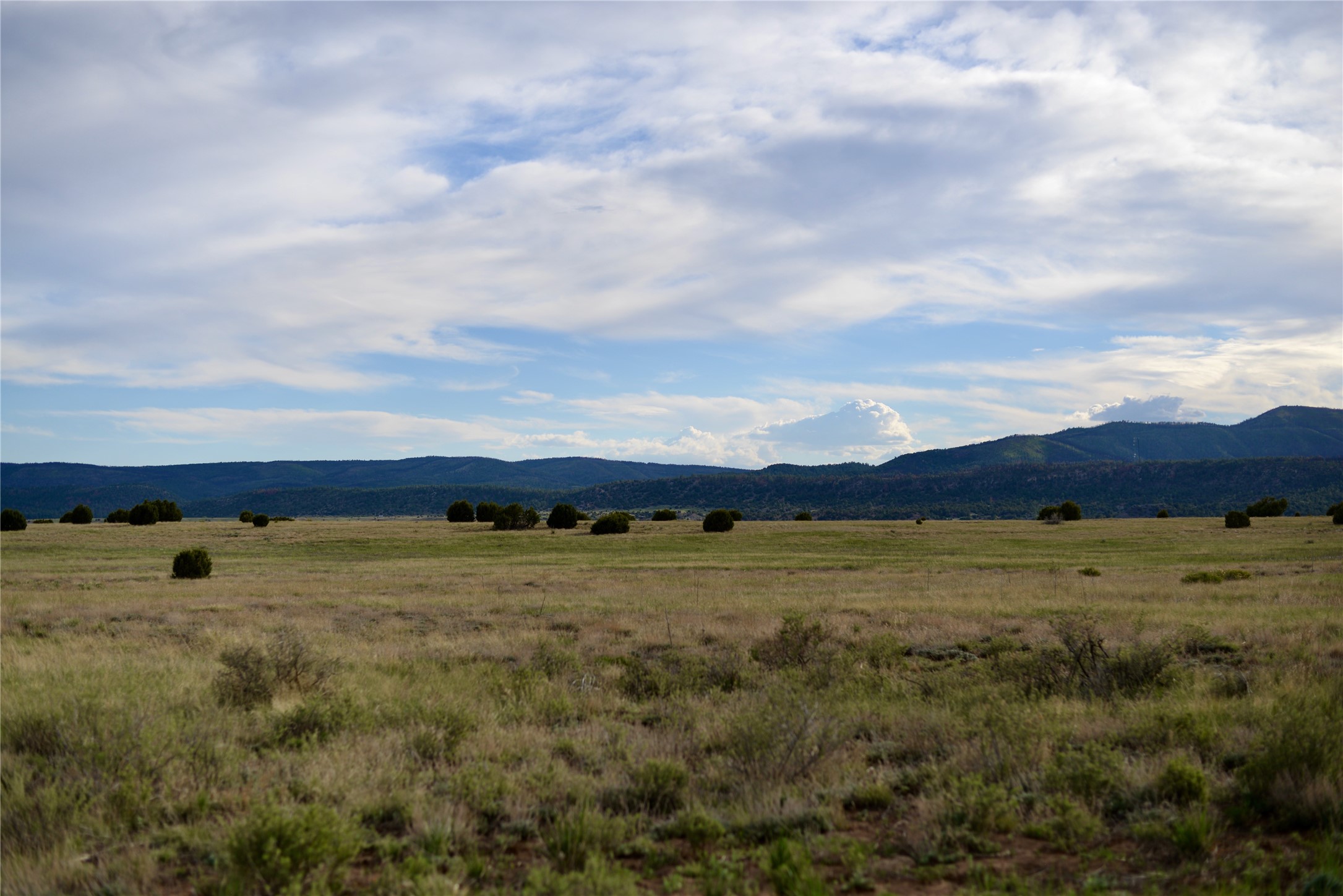 Lot 5 Storrie Lake, Las Vegas, New Mexico image 11