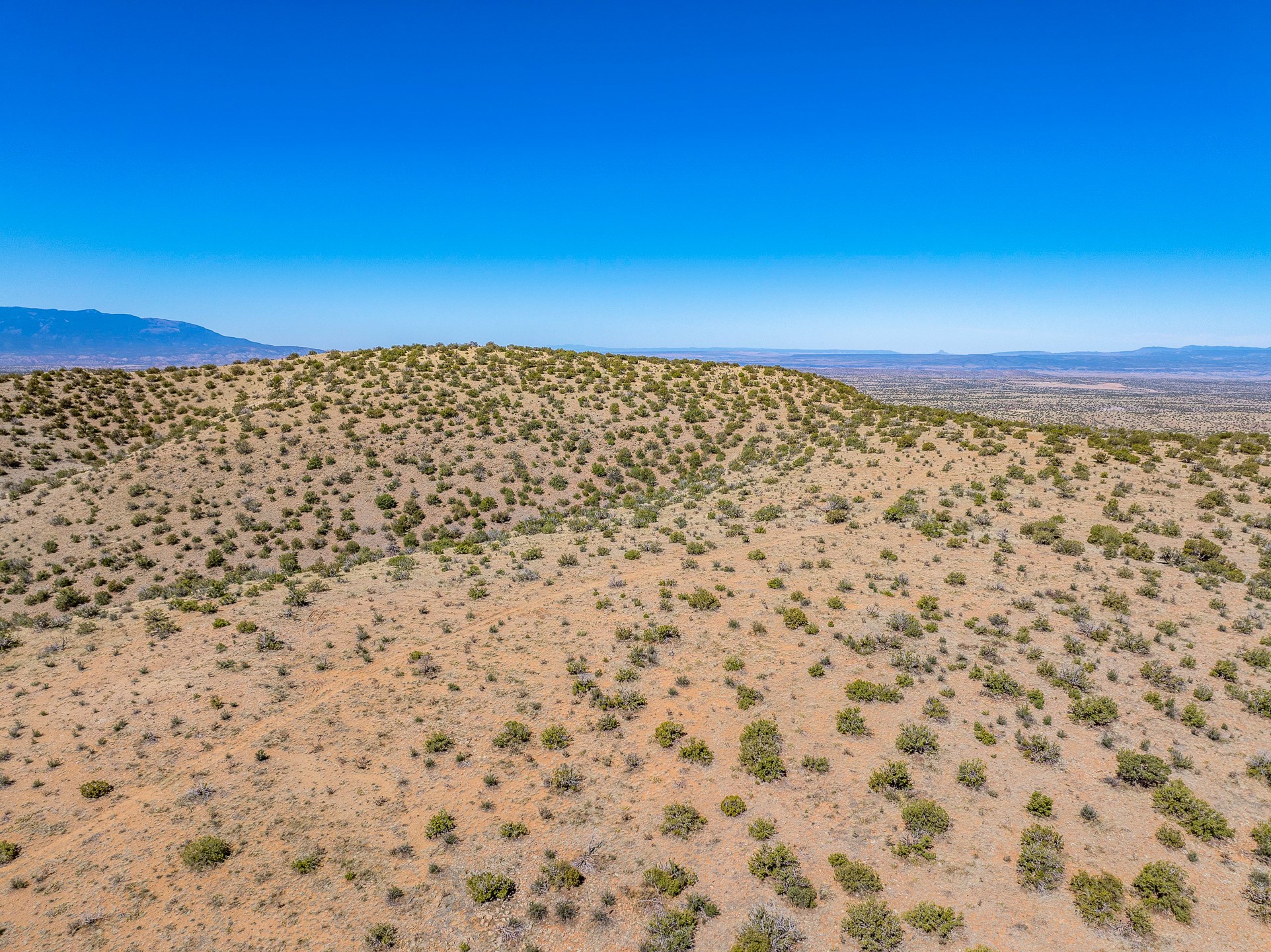 Grateful, Madrid, New Mexico image 36