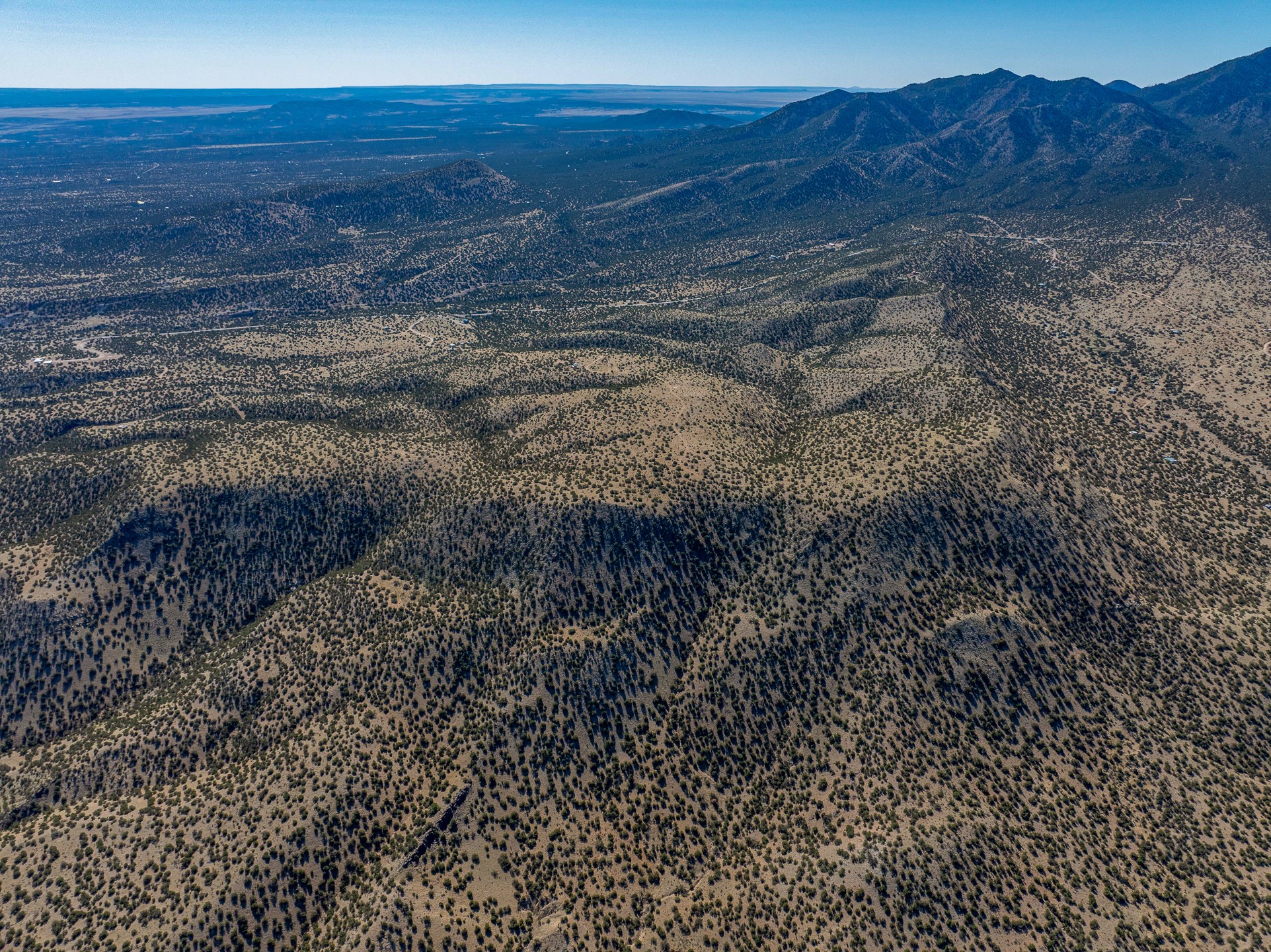 Grateful, Madrid, New Mexico image 31