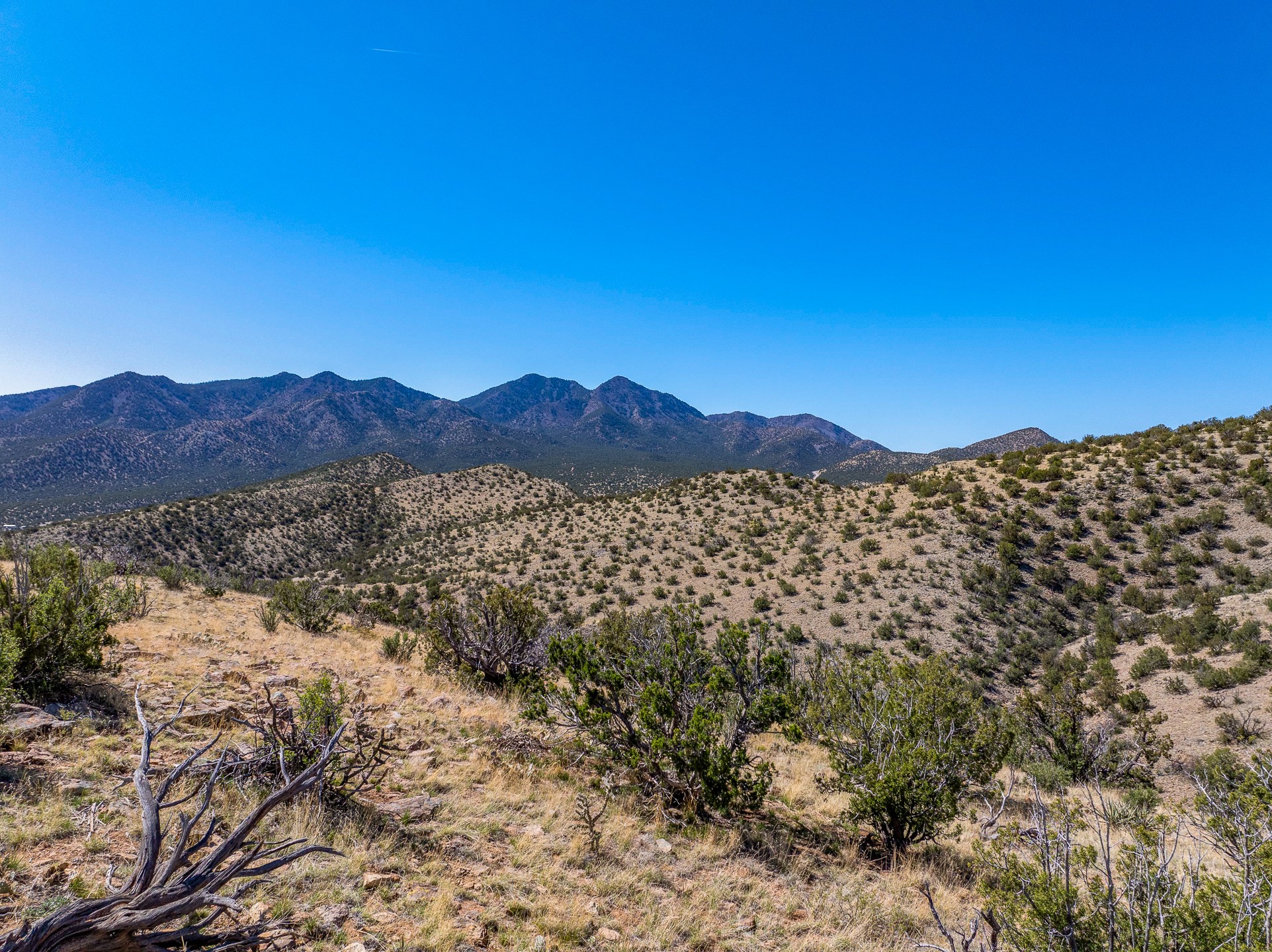 Grateful, Madrid, New Mexico image 25