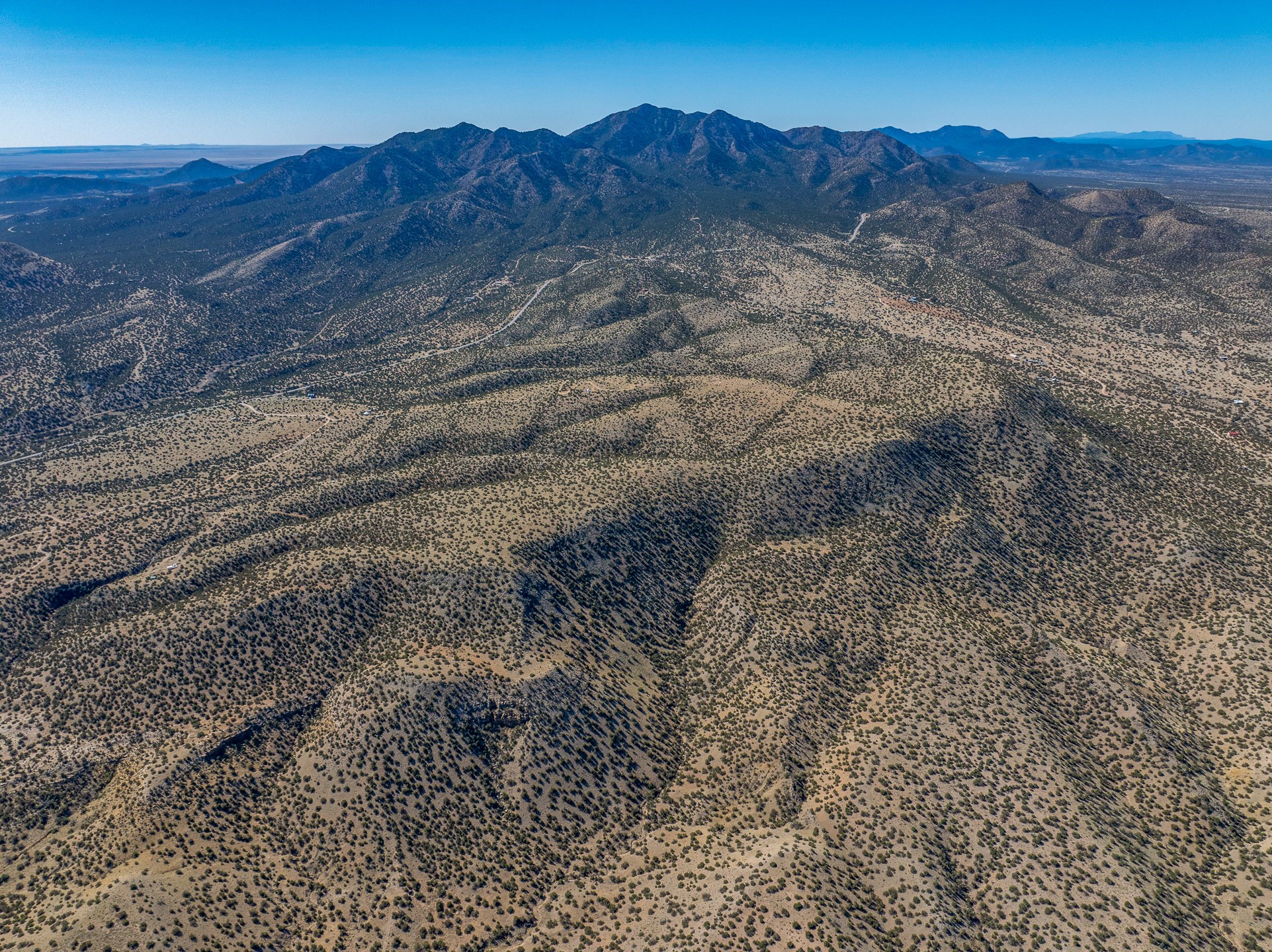 Grateful, Madrid, New Mexico image 35