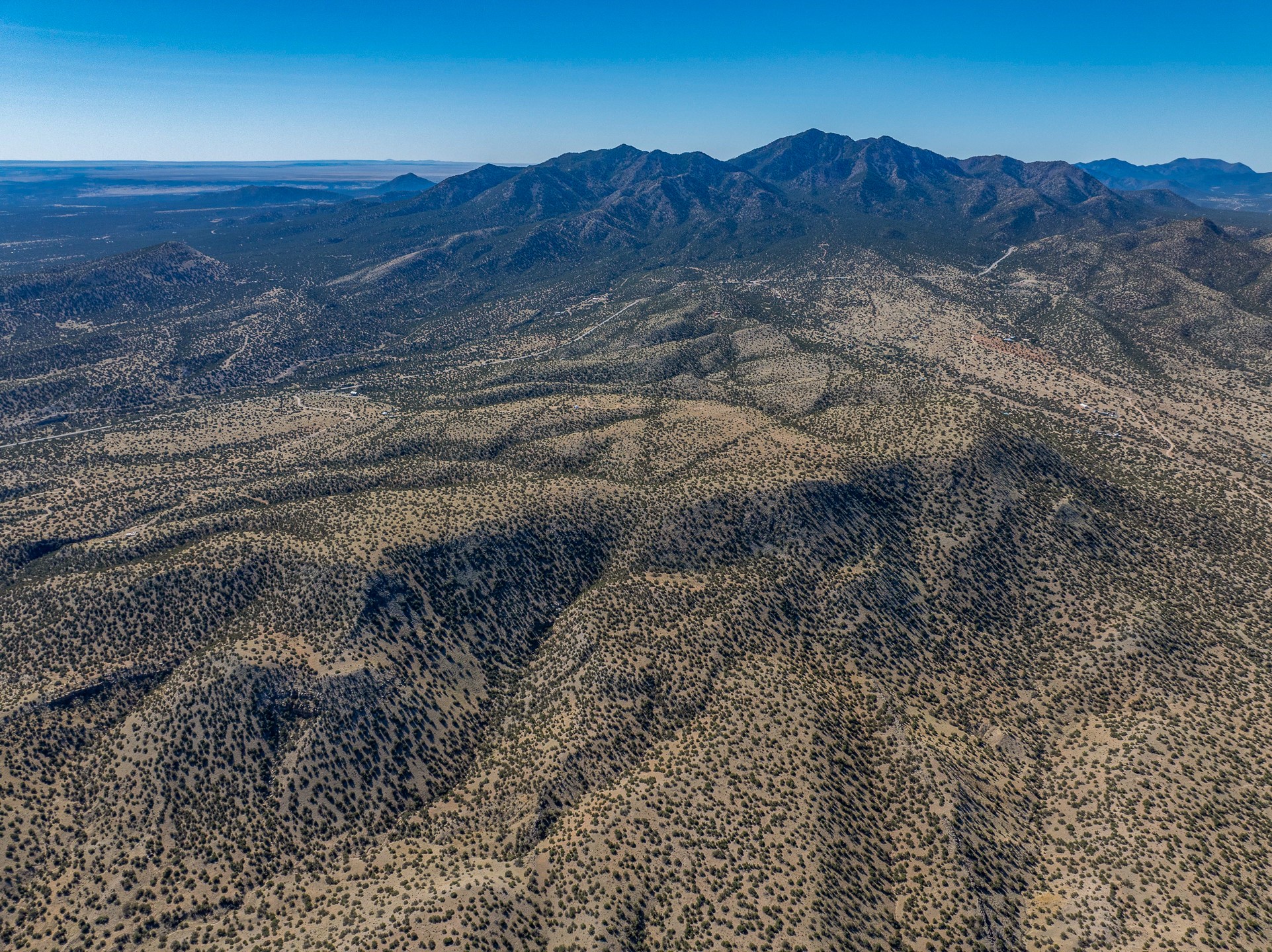 Grateful, Madrid, New Mexico image 34