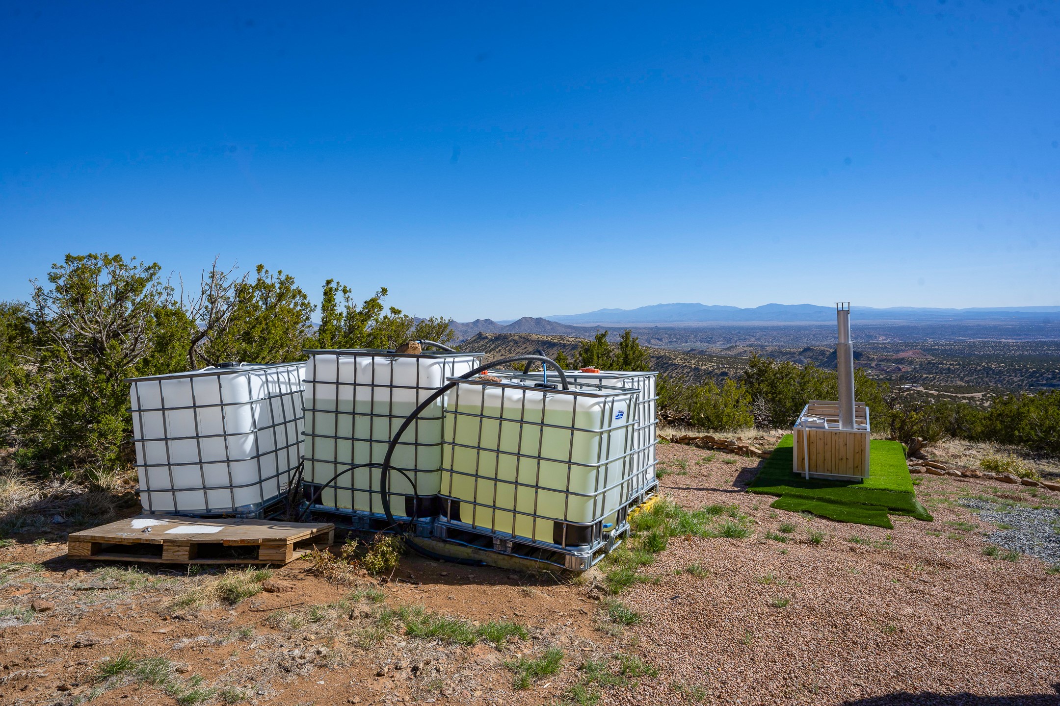 Grateful, Madrid, New Mexico image 49