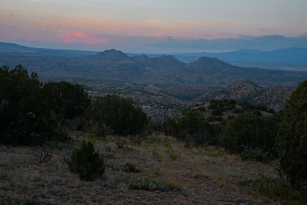 Grateful, Madrid, New Mexico image 23