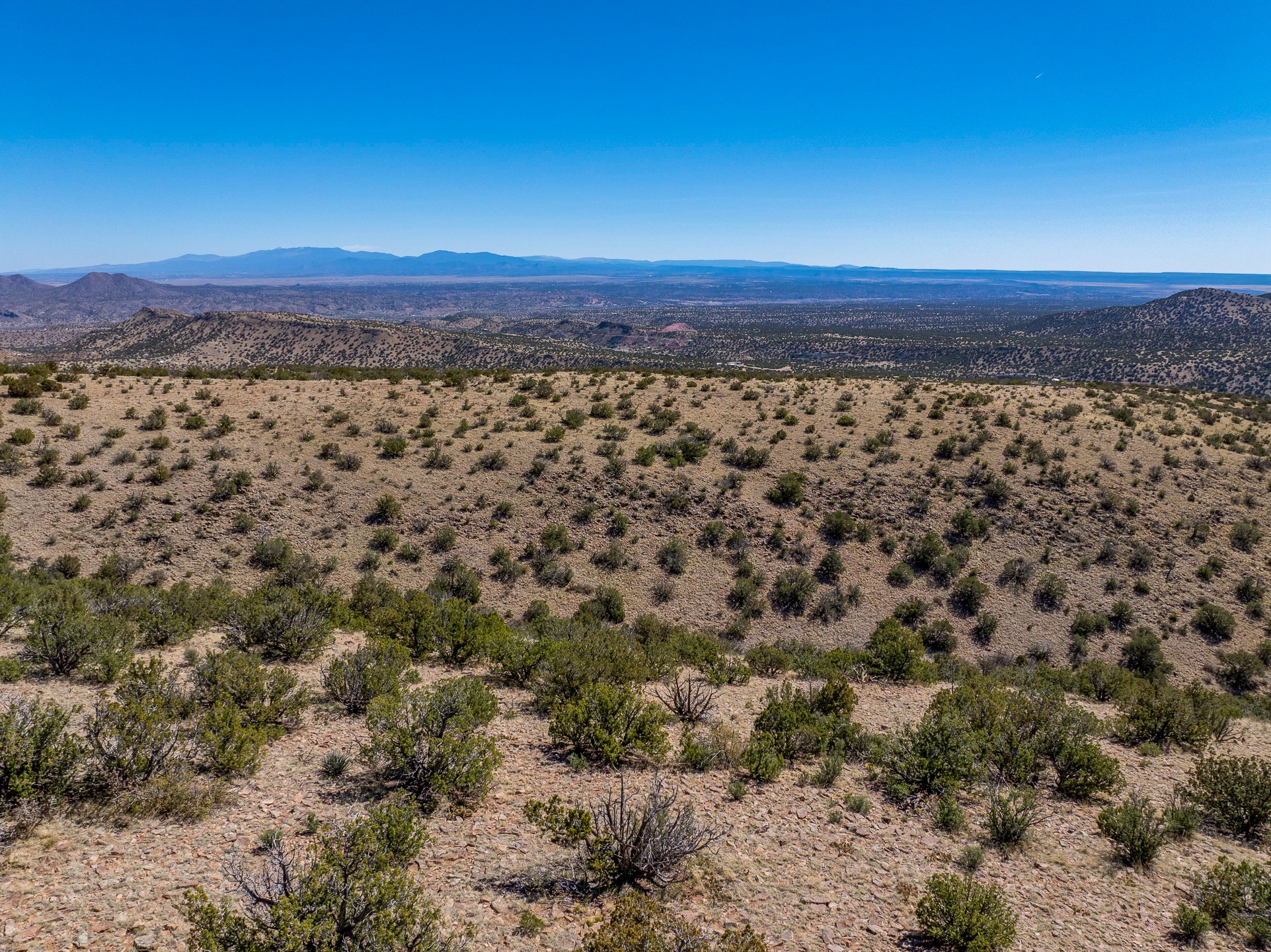 Grateful, Madrid, New Mexico image 43