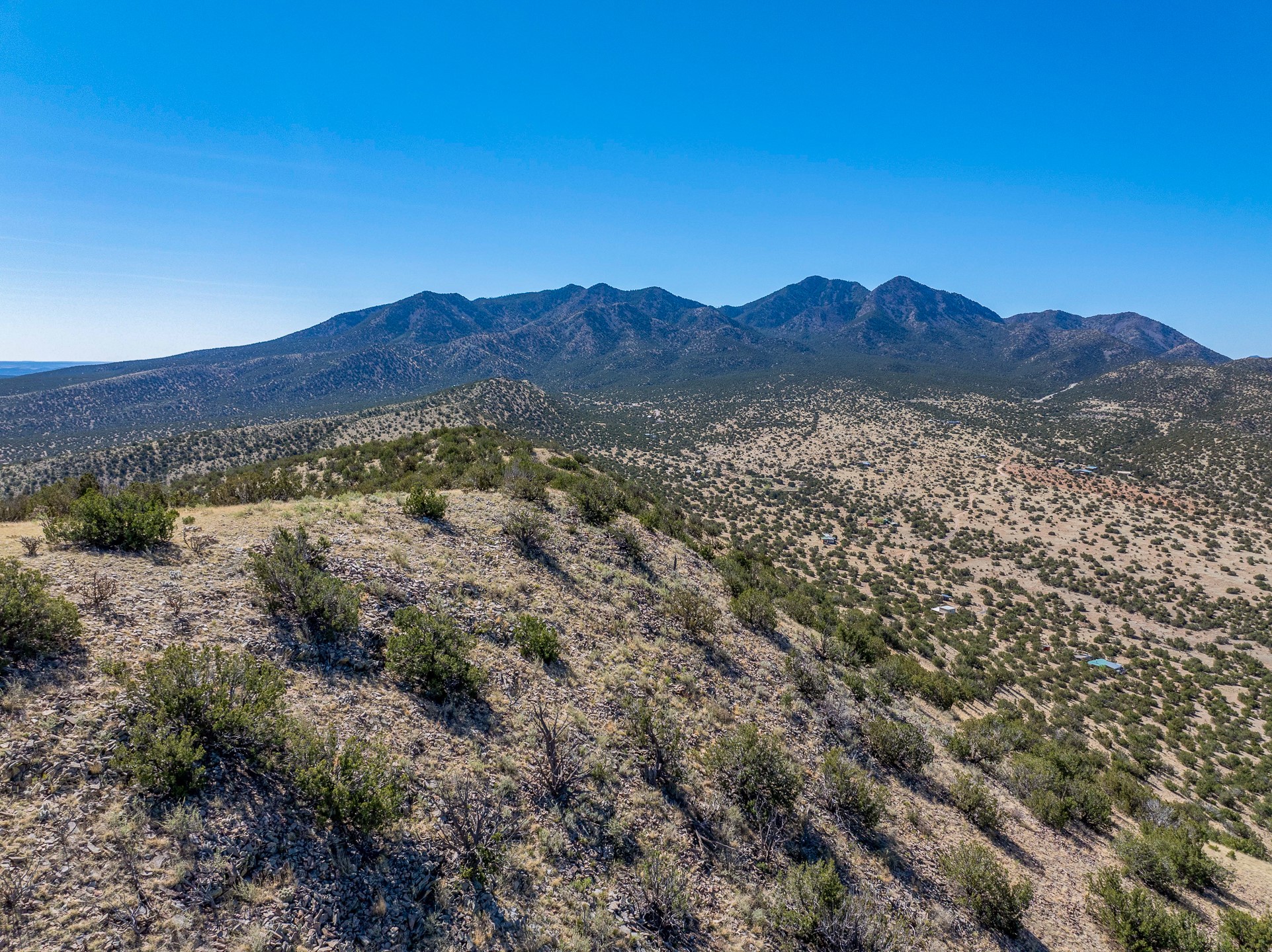 Grateful, Madrid, New Mexico image 38
