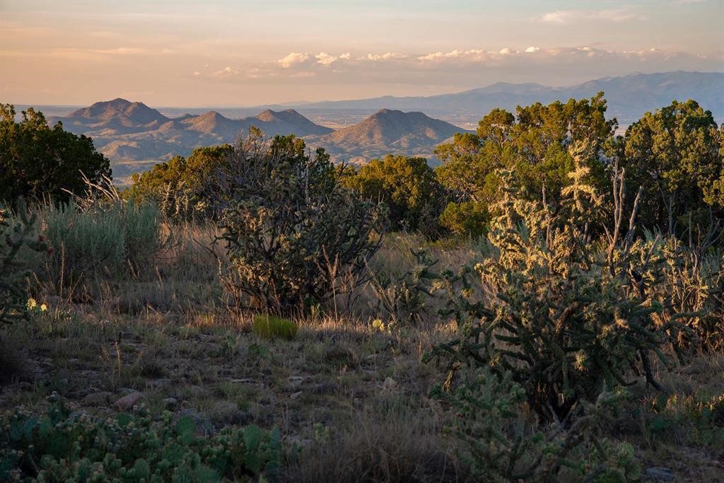 Grateful, Madrid, New Mexico image 16