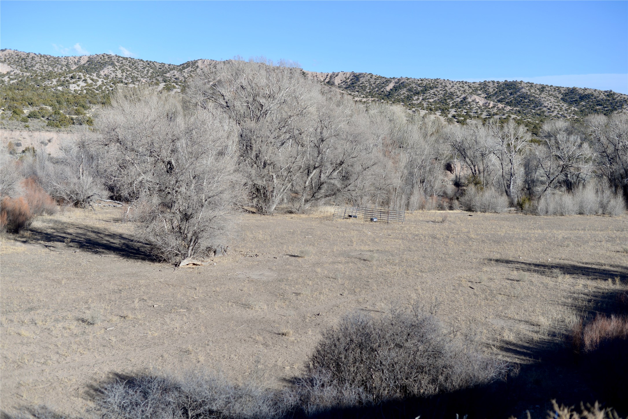 Nm-215, El Rito, New Mexico image 5