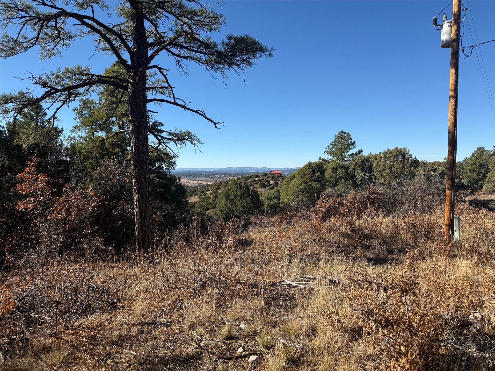 50 Fawn Drive Ln, Chama, New Mexico image 20