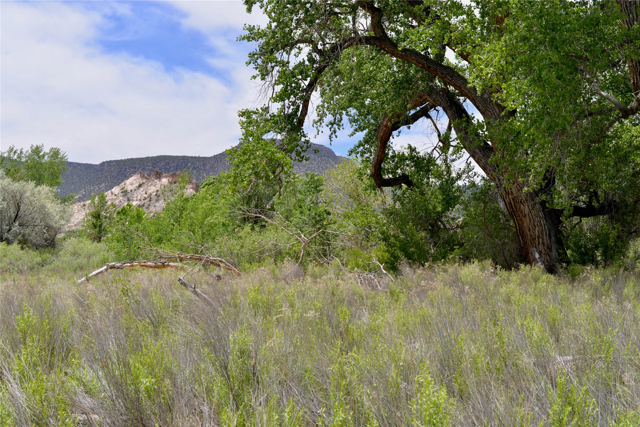 Lots 1 & 2 Off Of Cr-162, Abiquiu, New Mexico image 6