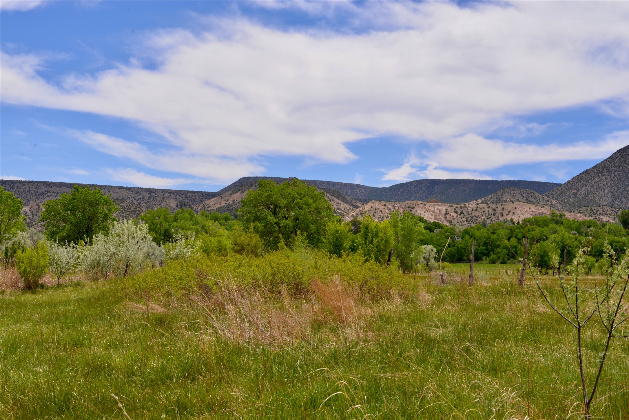 Lots 1 & 2 Off Of Cr-162, Abiquiu, New Mexico image 1
