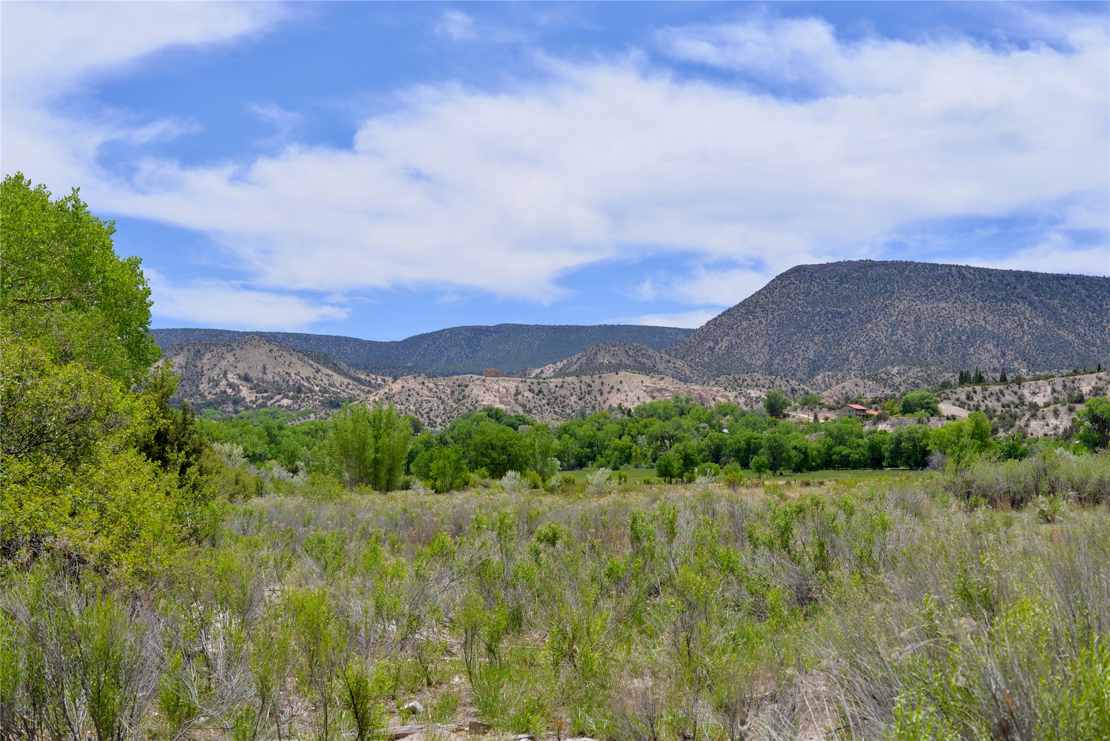 Lots 1 & 2 Off Of Cr-162, Abiquiu, New Mexico image 4