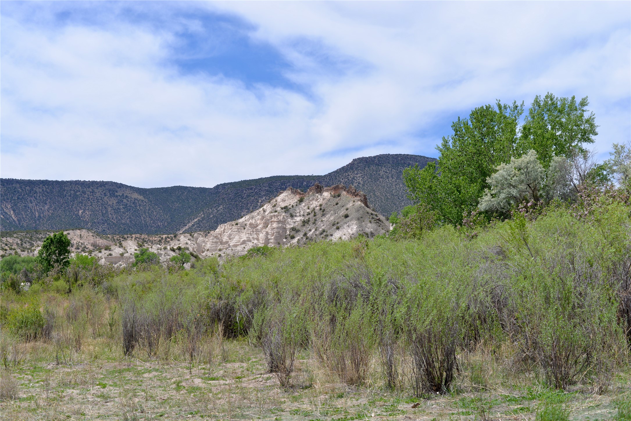 Lots 1 & 2 Off Of Cr-162, Abiquiu, New Mexico image 8