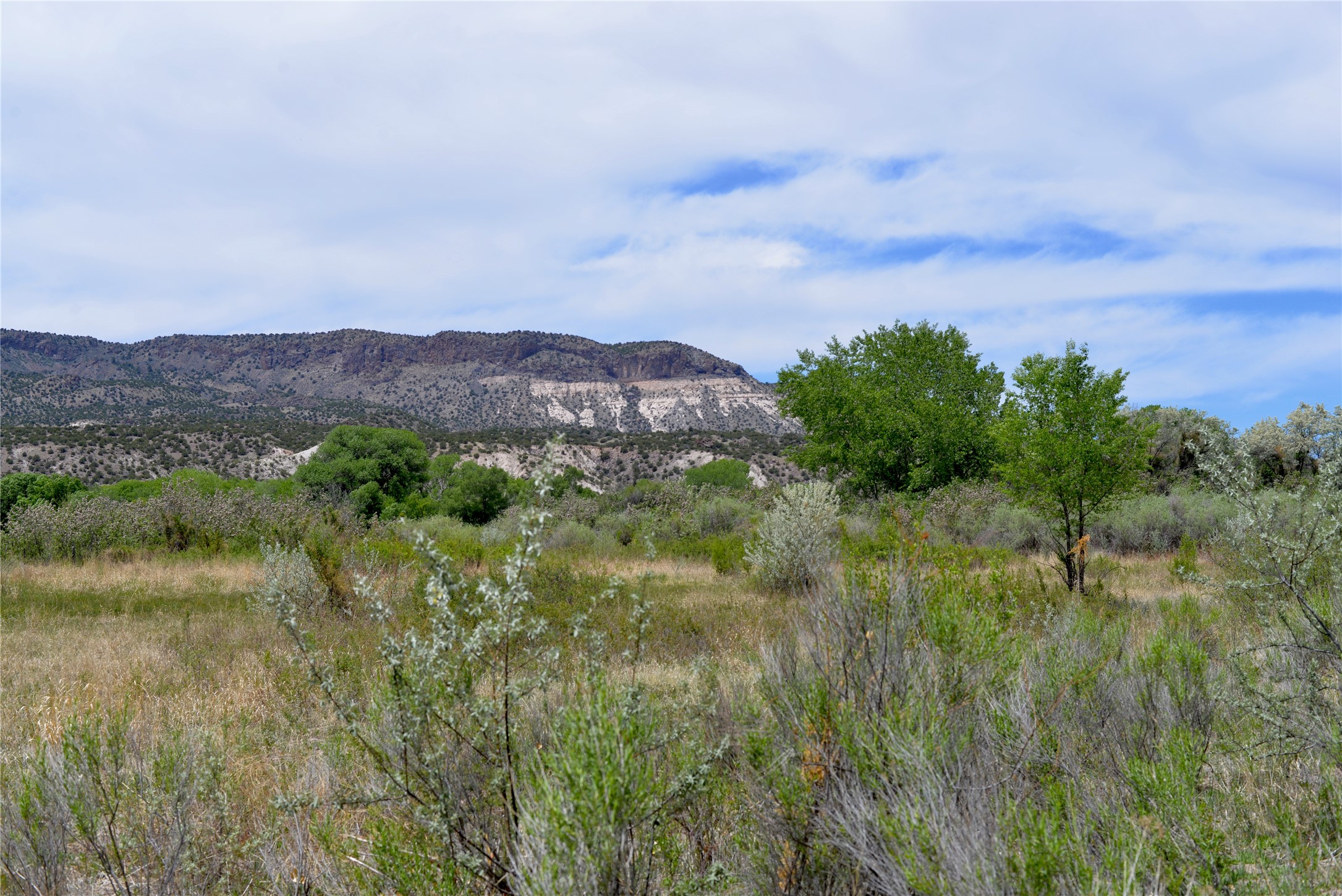 Lots 1 & 2 Off Of Cr-162, Abiquiu, New Mexico image 10