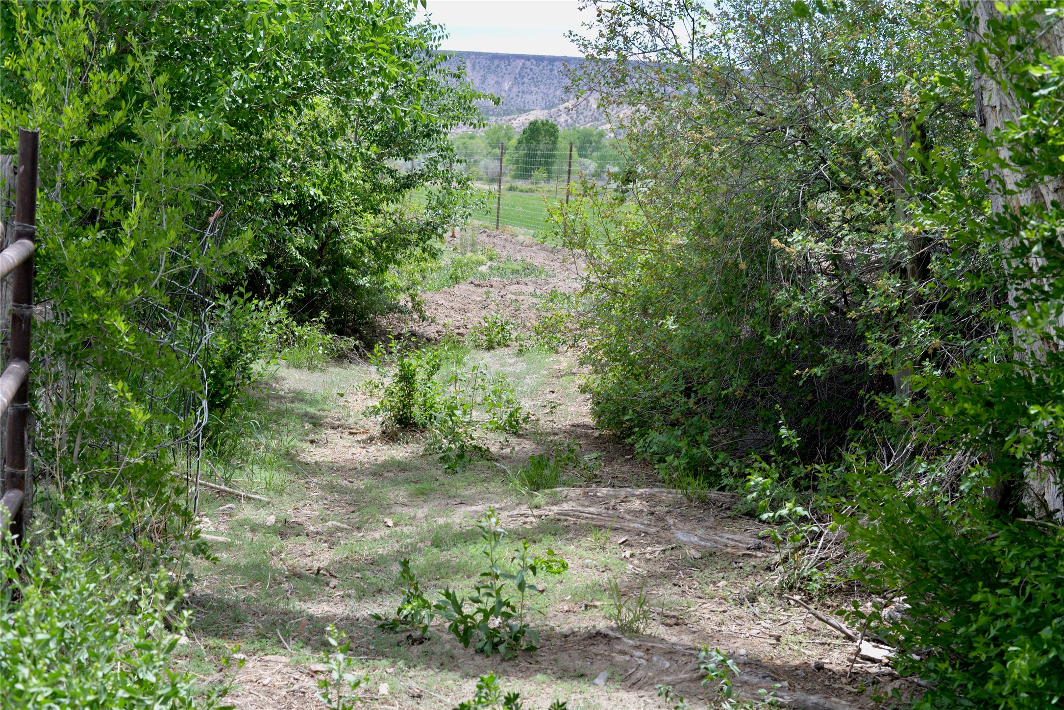 Lots 1 & 2 Off Of Cr-162, Abiquiu, New Mexico image 16