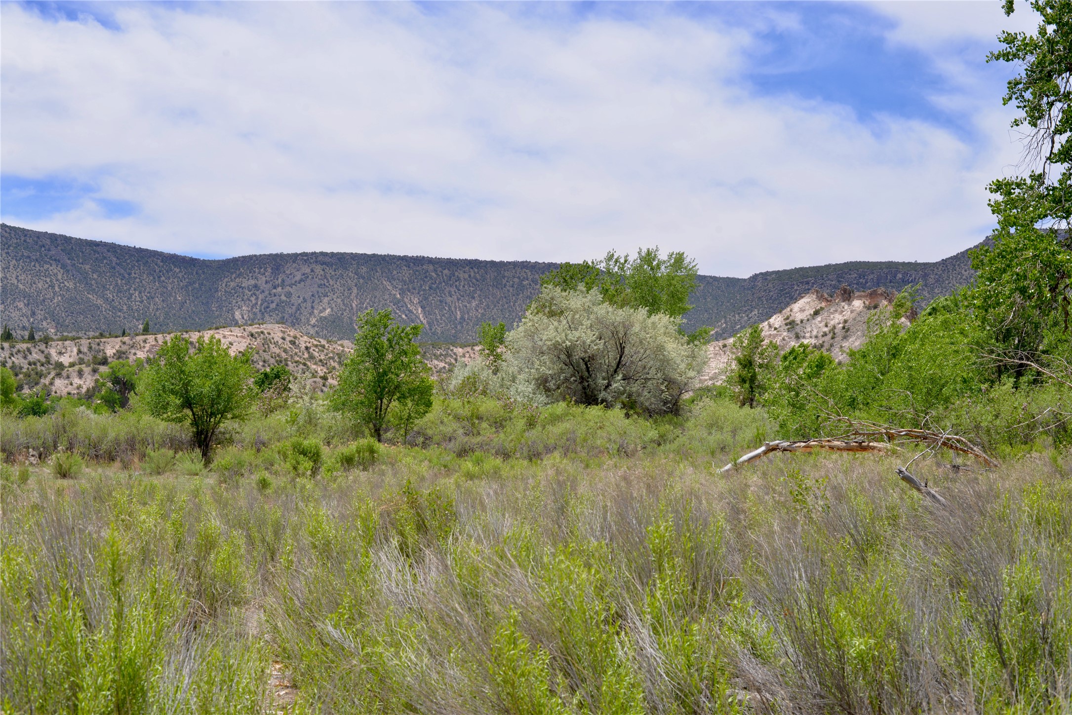 Lots 1 & 2 Off Of Cr-162, Abiquiu, New Mexico image 5