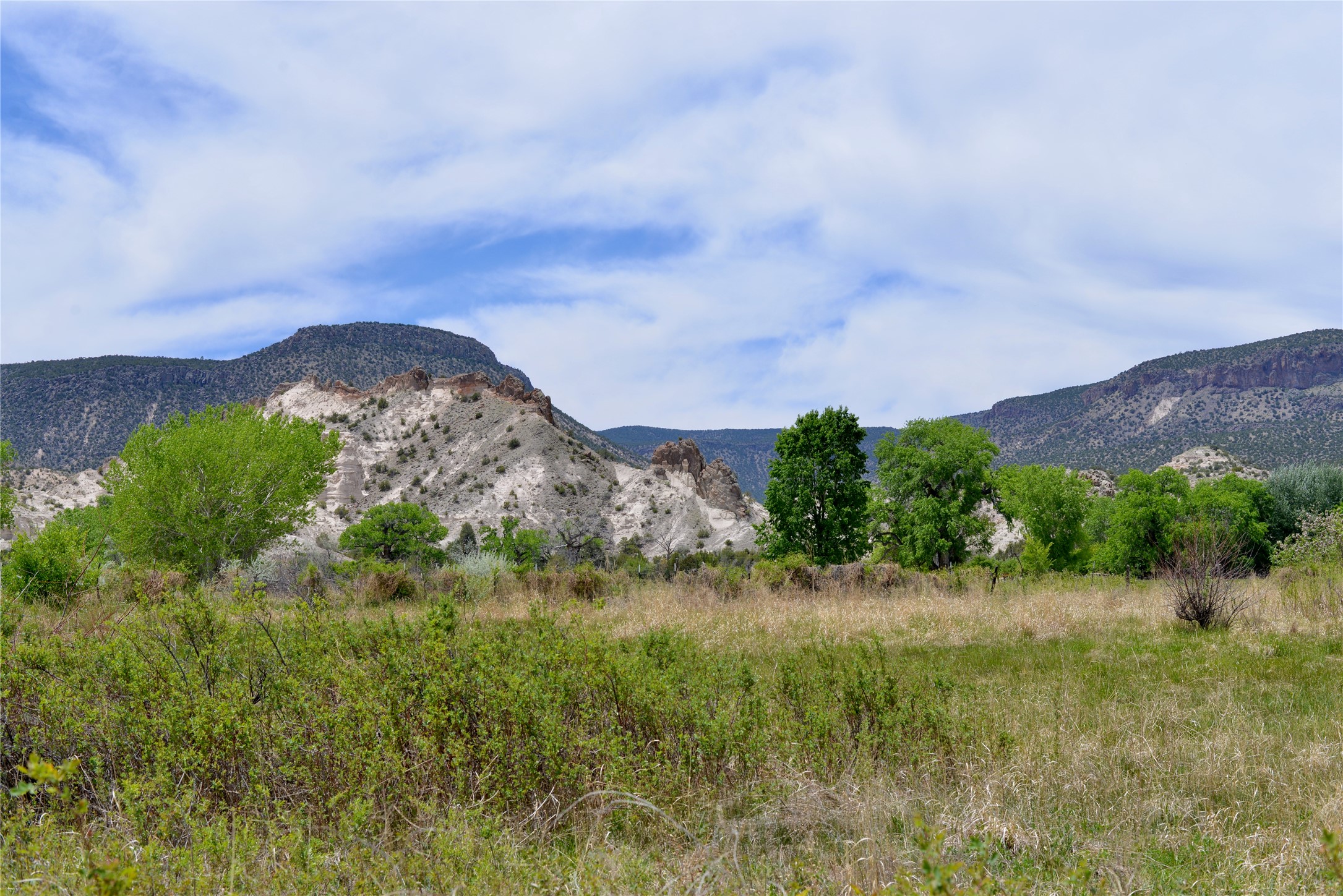 Lots 1 & 2 Off Of Cr-162, Abiquiu, New Mexico image 9