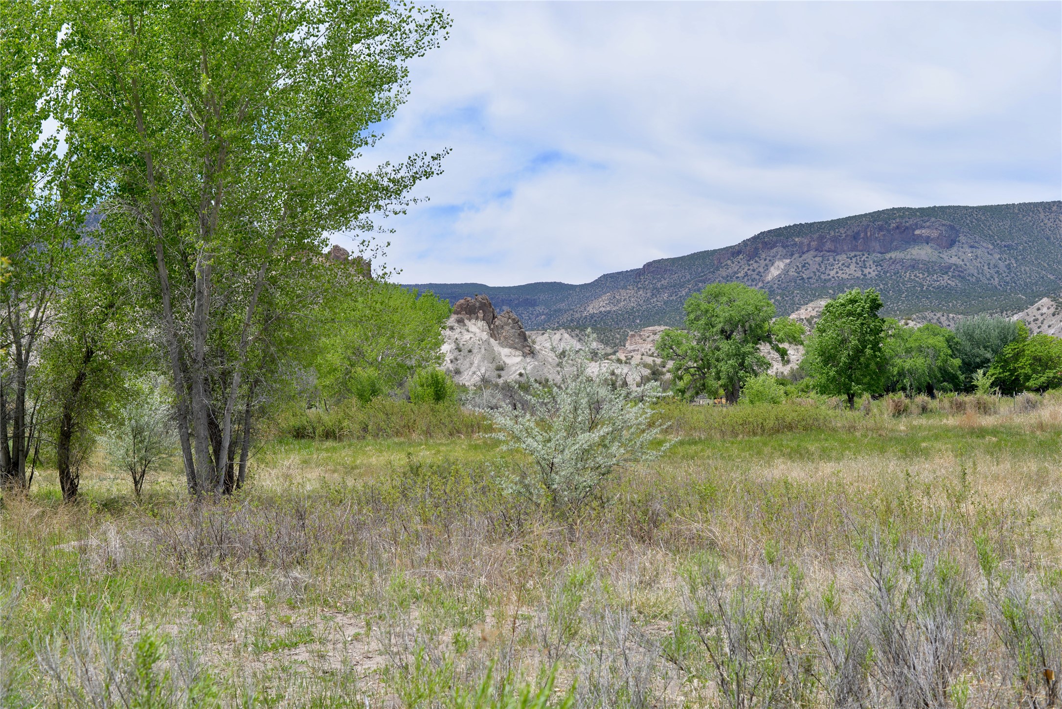 Lots 1 & 2 Off Of Cr-162, Abiquiu, New Mexico image 11