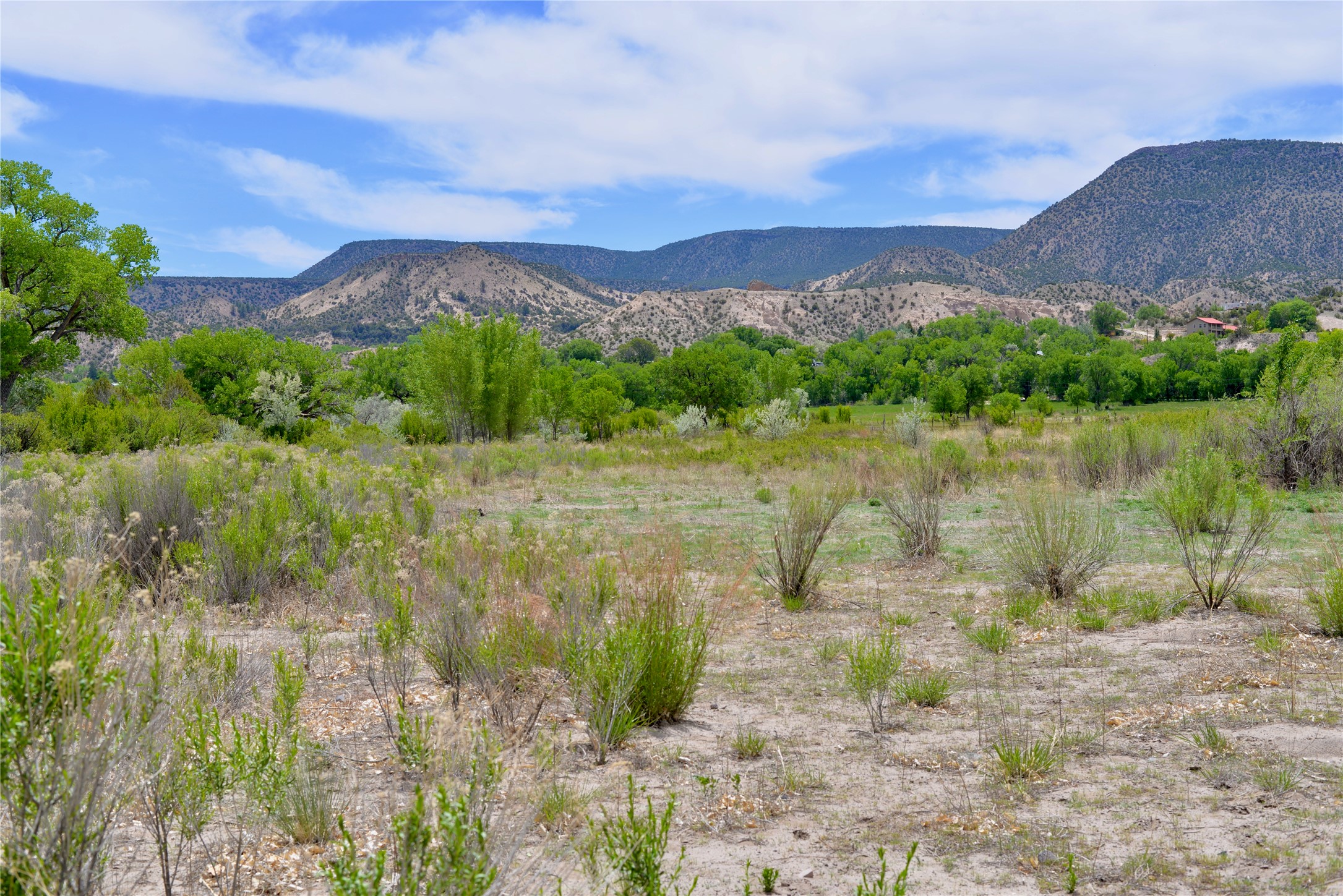 Lots 1 & 2 Off Of Cr-162, Abiquiu, New Mexico image 7
