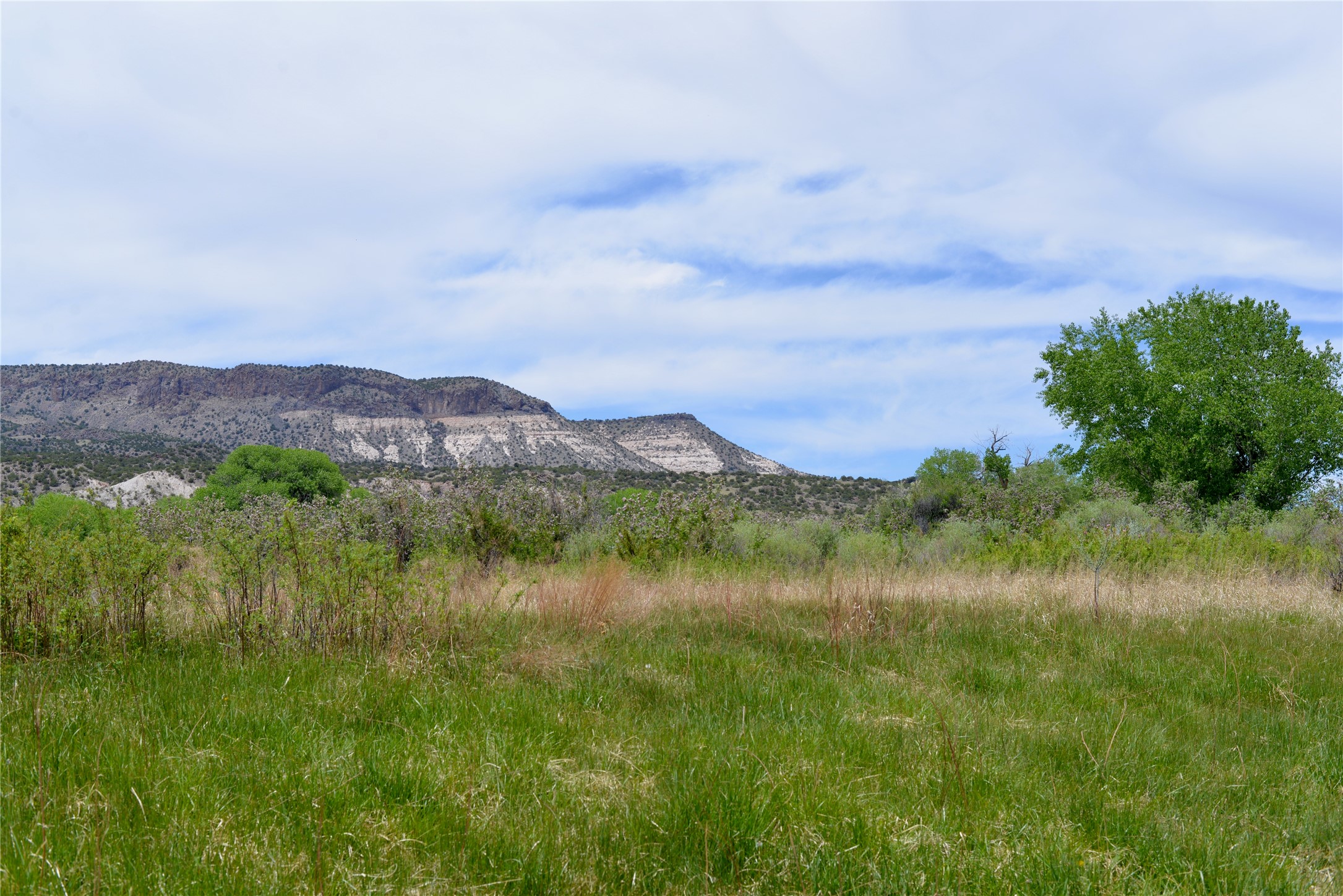 Lots 1 & 2 Off Of Cr-162, Abiquiu, New Mexico image 2