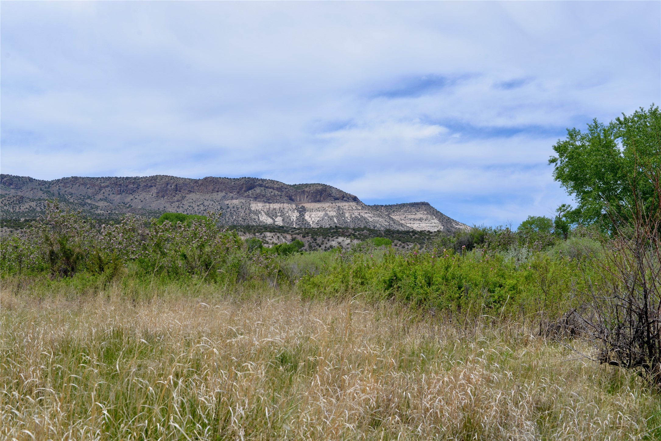 Lots 1 & 2 Off Of Cr-162, Abiquiu, New Mexico image 14