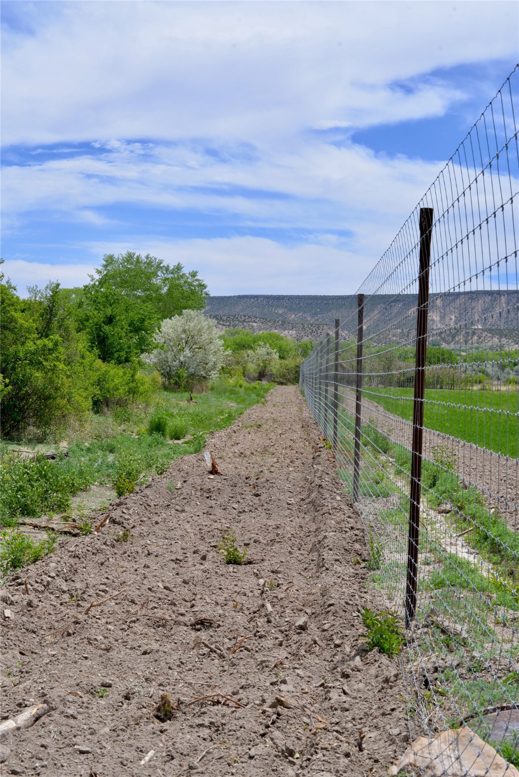 Lots 1 & 2 Off Of Cr-162, Abiquiu, New Mexico image 17